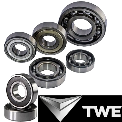 ROL 6003ZZC3 L10 EX35 IN17