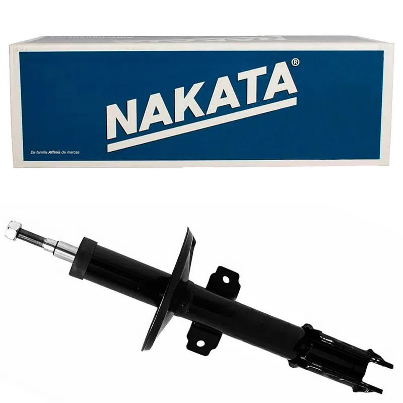 HG41004 AMORT PRES CAPTUR 10/11 